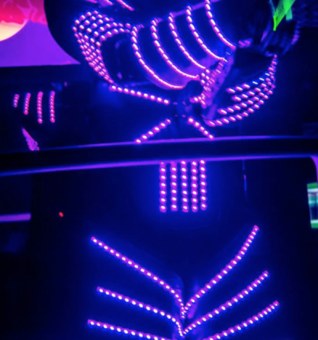 Led Robots